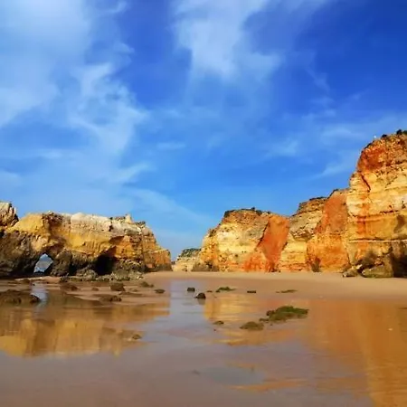 Great Da Rocha